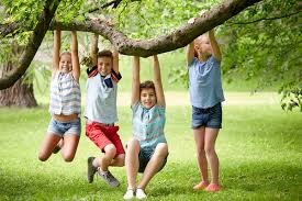 بالا رفتن از درخت بازی دلخواه کودکان